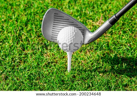 Golf club. Green golf field and ball in grass