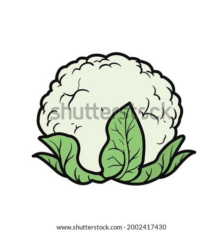 Cauliflower color variation for coloring page isolated on white background