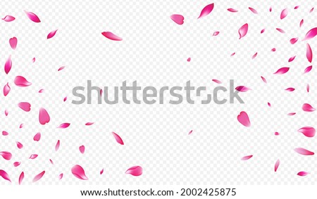 Pink Blossom Vector Transparent Background. Flower Soft Banner. Sakura Marriage Illustration. Apple Free Backdrop. White Leaf Spa Design.