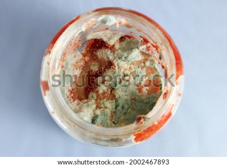 Moldy tomato paste in jar