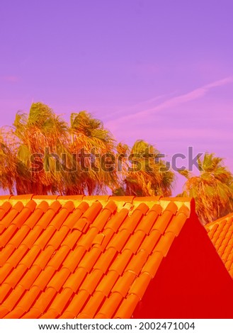 Tropical  location. Palm and orange house. Canary island. Stylish Travel vacation wallpaper