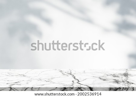 Empty Marble Floor with Blurred Shadow Leaves Background Wall Room Studio and Soft Light well Editing Products and Text Presentation on free Space Backdrop 