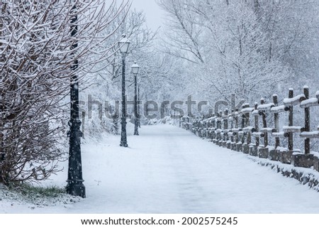 Snowy walkway with lampposts and wooden fence