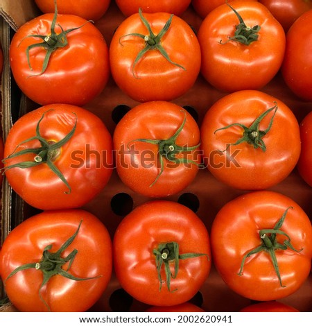 Macro photo red tomato. Stock photo fresh red tomatoes background