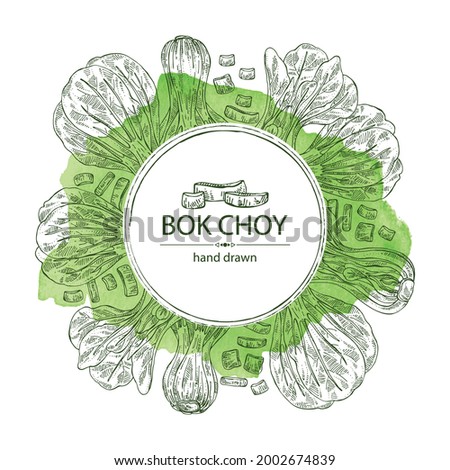 Watercolor background with bok choy: plant and piece of pak choi. Vector hand drawn illustration. 