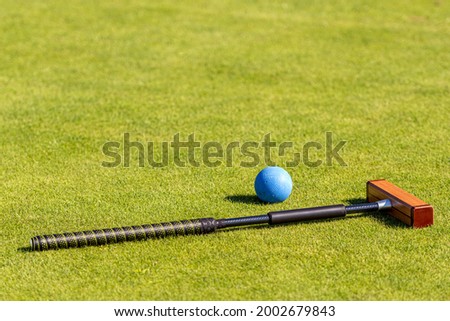 croquet mallet and ball on a lgreen awn Royalty-Free Stock Photo #2002679843