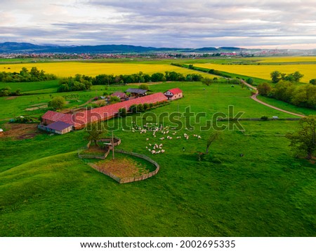 Photography of a farmhouse and a green pasture with sheep, rape fields and mountains can be seen in the background. Drone shot of a countryside farm