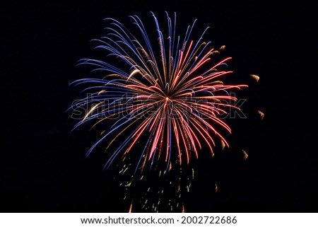 4th of July fireworks on black night sky