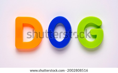 Plastic letters spelling DOG on white