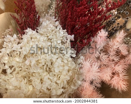 An arrangement of dried flowers in ivory, pink and and earthy red. Pictured are ivory hydrangeas