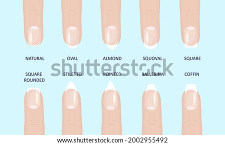 Manicure most popular fashion nail shapes flat style vector illustration set isolated light blue background. Natural, squoval, oval, square rounded, square, almond, stiletto different shapes guidance. Royalty-Free Stock Photo #2002955492