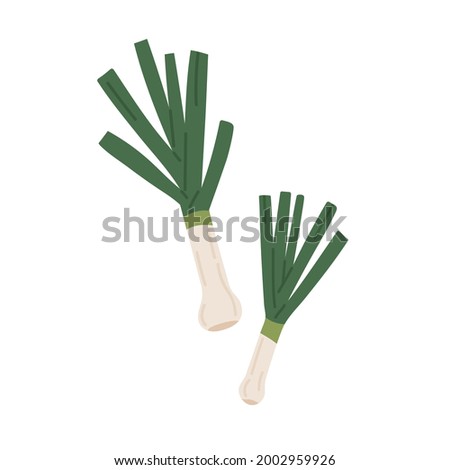 Green leek stalk. Icon of raw fresh vegetable. Food plant with stem and leaf. Colored flat vector illustration of natural veggie isolated on white background Royalty-Free Stock Photo #2002959926