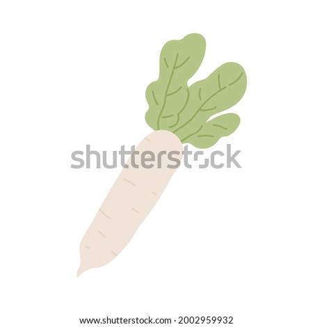 Long tuber of Japanese daikon radish with leaf. Asian big root vegetable with leaves. Icon of fresh raw food. Colored flat vector illustration of Japan veggie isolated on white background Royalty-Free Stock Photo #2002959932