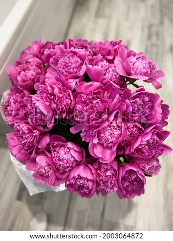 peonies on a gray background bouquet