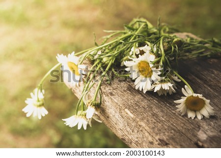 A bouquet of daisies lies on a wooden surface. Failed date, lost hopes, sadness, fatigue, doubts
