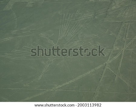 [Peru] The Condor geoglyph, Lines and Geoglyphs of Nasca (Nazca)