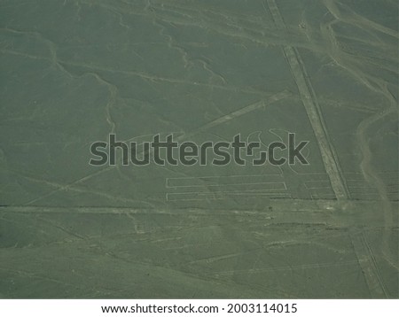 [Peru] The Parrot geoglyph, Lines and Geoglyphs of Nasca (Nazca)