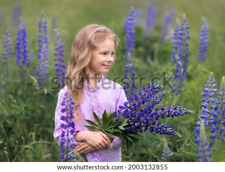 Blonde with flowers in the field.The baby is holding a bouquet of lupines in her hands.A child in the middle of a field collects a bouquet of flowers.Beautiful art picture.A girl with long hair