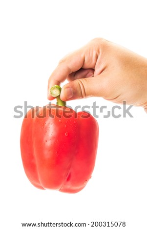 Chef hand holding a red pepper with water drops, isolated on white background