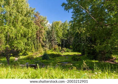 Hello sunshine - forest nature garden summer stock pictures, royalty-free photos  images. Fresh meadow landscape.