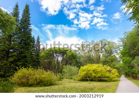 Hello sunshine - forest nature garden summer stock pictures, royalty-free photos  images. Fresh meadow landscape. Novosibirsk botanical garden