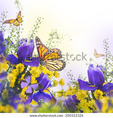 Blue irises with yellow daisies, floral background.