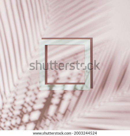 Summer natural concept. Palm leaves and hard shadows on pink pastel background with white frame. Tropical flat lay creative copy space.