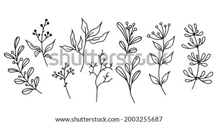 Set of hand-drawn floral elements,doodle plants and branches on a white background. Sketchy elements of design. Vector doodle illustrations