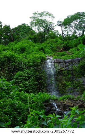 portrait photo of waterfall in Banyuwangi , East Java, surrounded by greenery plant