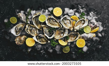 Oysters with lemon and parsley on ice. Free space for your text. Seafood. Flat lay. Royalty-Free Stock Photo #2003273105
