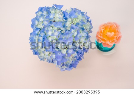 A top studio view of bright flowers decoration