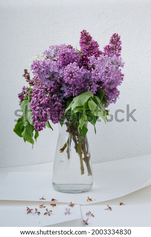 Beautiful tender young spring flowers of lilac. Macro shot of small lilac flowers, spring background