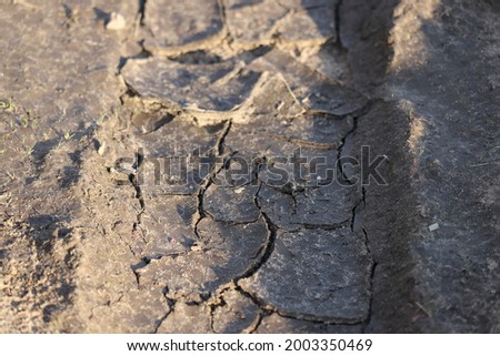 Dry cracked earth. Background. It's hot, the global shortage of water on the planet. Global warming caused by changes in the Earth's atmosphere.