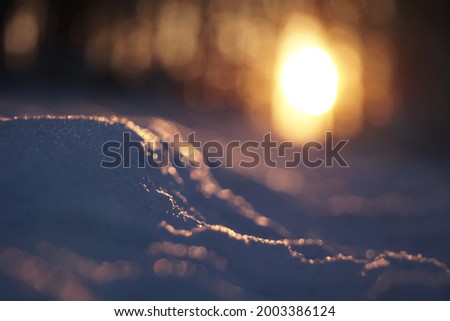 A very beautiful sunset in a snowy forest. The lights a very fancy. Blurred background an shiny reflections in the snow. 
