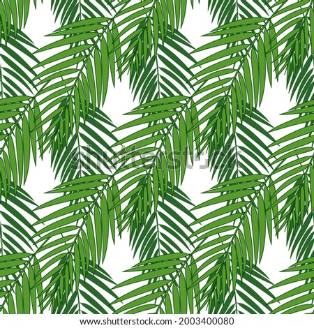 Tropical palm leaves seamless pattern. Vector illustration.