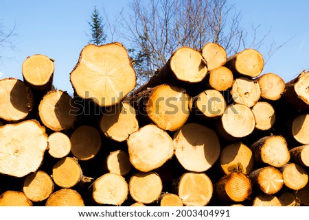 Natural lumber cut with an industrial machine. Great for lumberjack industries, winches, forestry advertisement, machinery background, etc. Enjoy them properly in flyers, business card or website.