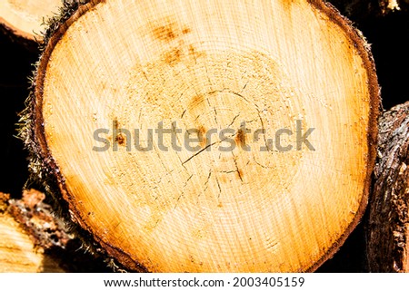 Natural lumber cut with an industrial machine. Great for lumberjack industries, winches, forestry advertisement, machinery background, etc. Enjoy them properly in flyers, business card or website.