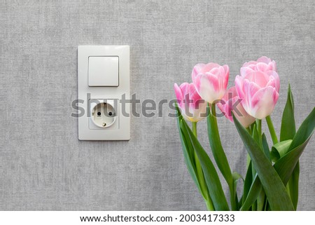A electric light switch and a grounded outlet on an empty gray wall. A bouquet of tulips against the wall with an electric switch and an electrical outlet