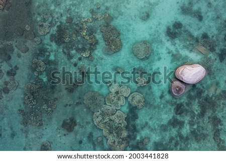 Coral Reef from a drone aerial birds eye top down view rocks and water blue turquoise green natural shape and form no people and copy space corals and sea life
