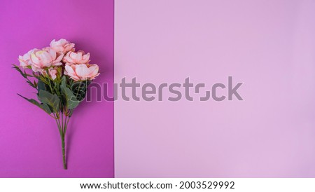 Beautiful rose flowers on color background. Copy space, top view