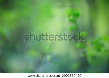 abstract green summer bokeh background, gradient view art texture glow
