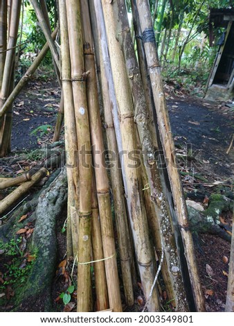 dry bamboo traditional firewood photo