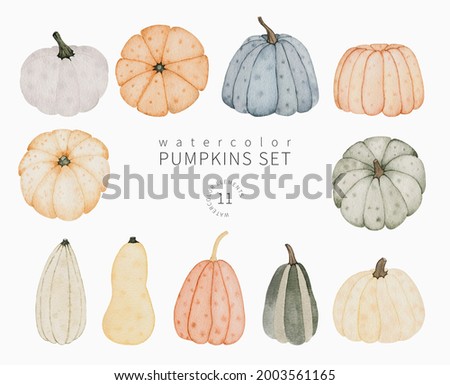 Watercolor autumn pumpkins set. Hand drawn fall food illustration isolated on white. Perfect for greeting card, invitation, stickers and other.