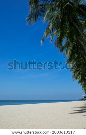 a clear sky beach with coconut trees in Chonburi (east of Thailand) one hour from Bangkok.