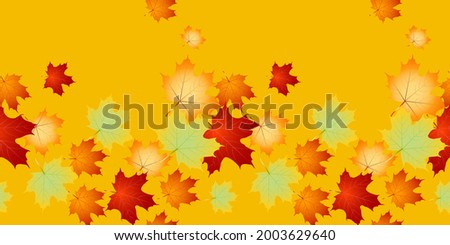 Seamless autumn leafs vector pattern. Seamless border with Fall maple leaves.Back to school, education. Vector design EPS 10
