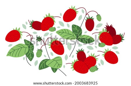 Fresh delicious ripe wild strawberries vector flat illustration isolated on white, natural diet food vegetation tasty eating, forest wild berries series.