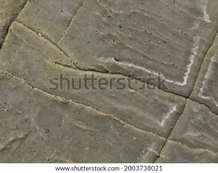 rock or stone surface with nature cracks on beach close up