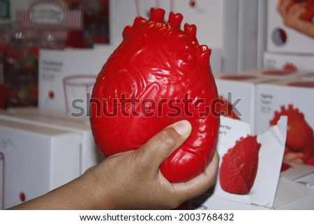 A woman holding an organ, heart.