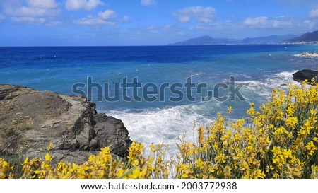 Seascape in Sestri Levante in Liguria, Italy 