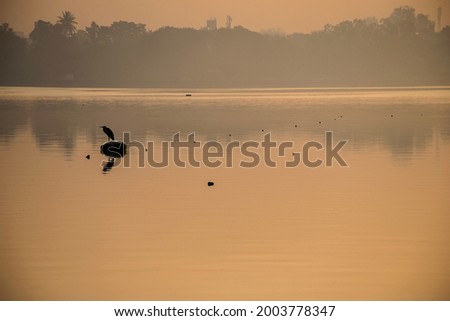 Stock photo of beautiful clam and peaceful sunset view near the lake , one crow perching on some object in the middle of the lake at Kolhapur Maharashtra India.